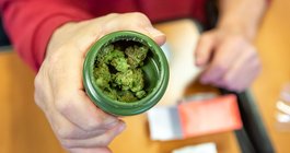 Cannabis Older Adults