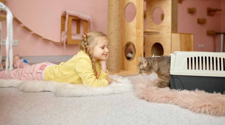 Cats Asthma Children