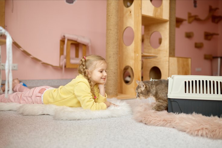 Cats Asthma Children