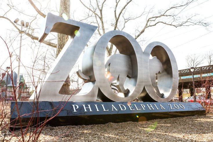 Philadelphia Zoo Meerkats
