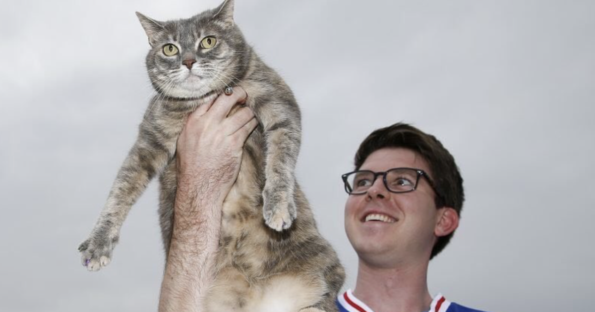Raise the Cat: A Sixers phenomenon here to stay?