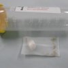 061626MedicalMaggotsWounds.jpg