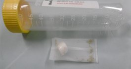 061626MedicalMaggotsWounds.jpg