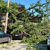 Storm Damage Philadelphia