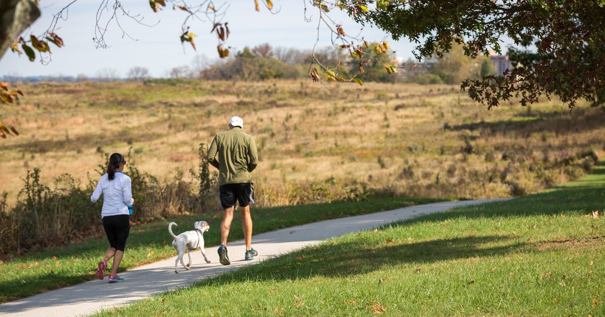 U.S. News & World Report includes four Philly-area counties among its 500 healthiest communities - Vimarsana News