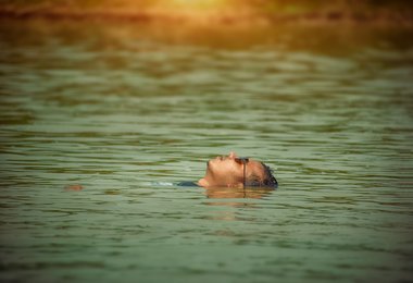 Summer SAD Tips