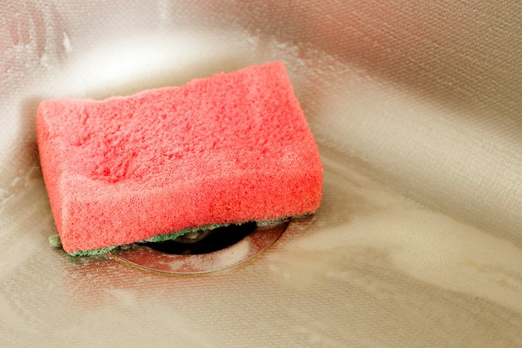 kitchen sponge bacteria