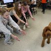 Virtual Dog Therapy