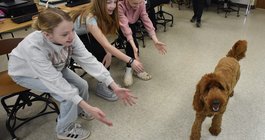 Virtual Dog Therapy