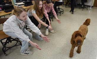 Virtual Dog Therapy