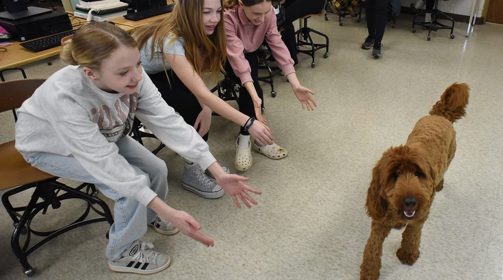 Virtual Dog Therapy