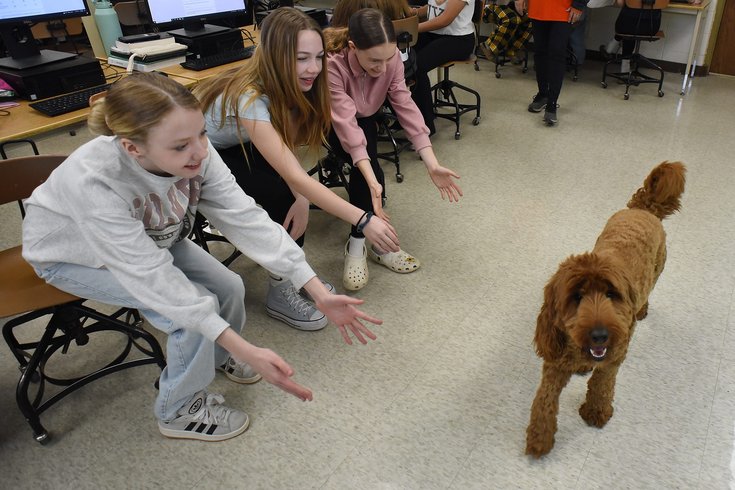 Virtual Dog Therapy