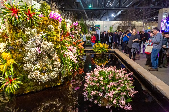 Flower Power What To Check Out At This Year S Philadelphia