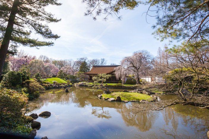 Stock_Carroll - Shofuso Japanese House and Garden