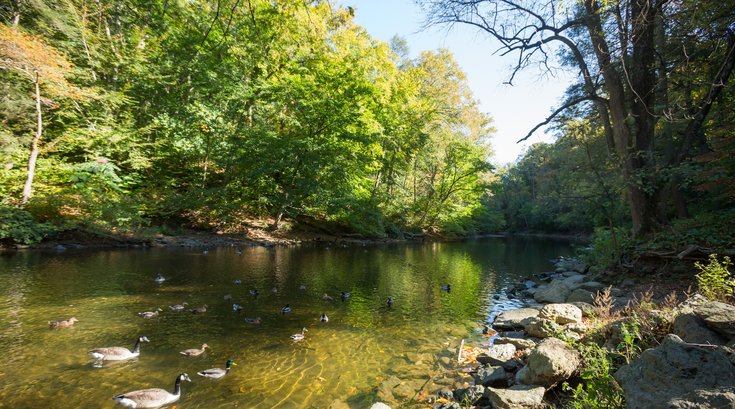 Stock_Carroll - Wissahickon Valley Park, Wissahickon Creek
