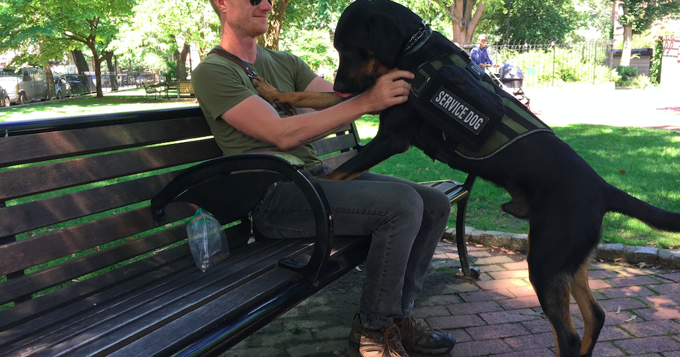 How A Dog Named Maverick Helped A Local Veteran Escape The Lingering Effects Of War Phillyvoice