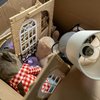 Donate Items Philly
