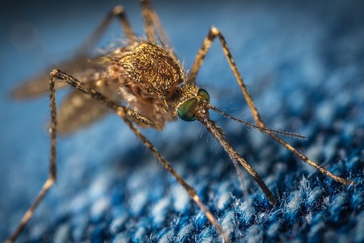 mosquito west nile virus indiana 