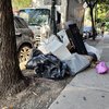 Trash Health Risks