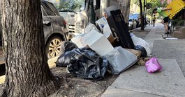 Trash Health Risks