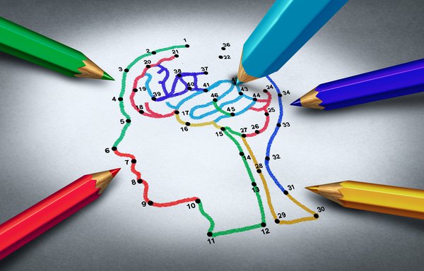 Sensory neurons and autism