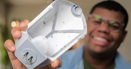 fruit flies trap