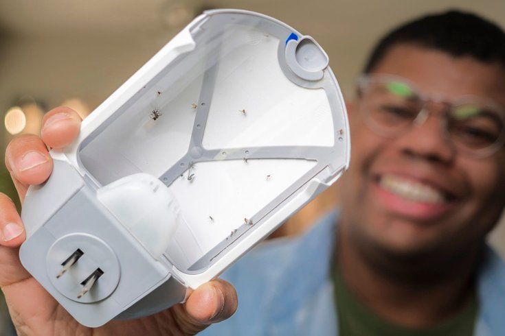 fruit flies trap