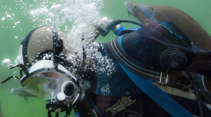 Scuba Diver Man 07102019