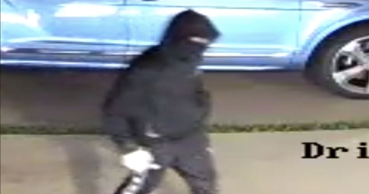 Four high-end vehicles stolen overnight in Avalon, police say - Vimarsana News