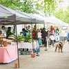 Farmers markets cyclosporiasis