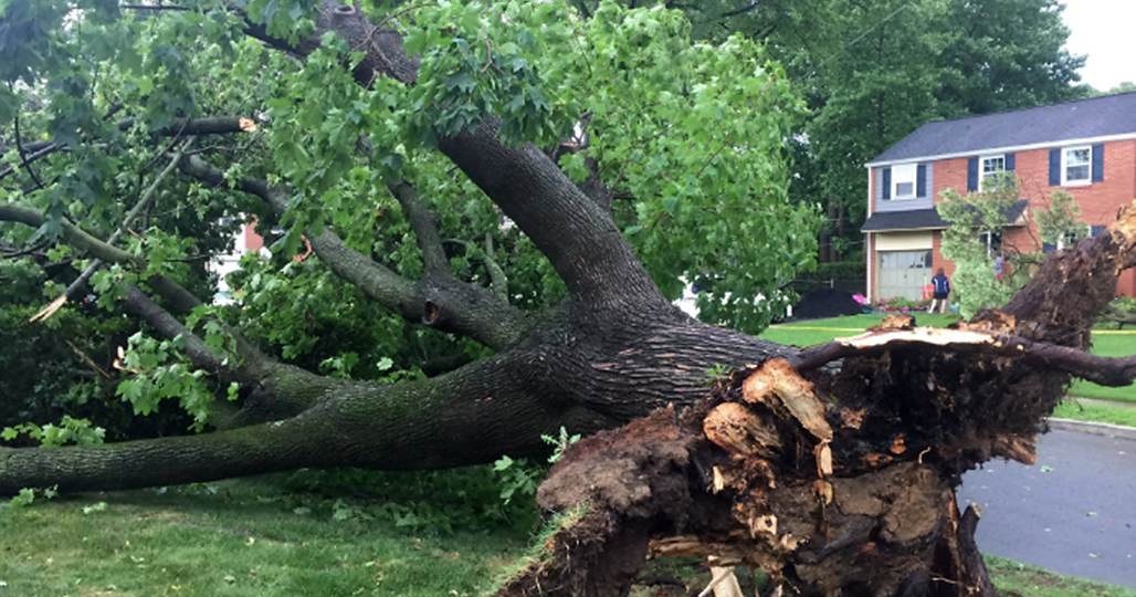 Thunderstorm leaves thousands without power in Philly region | PhillyVoice