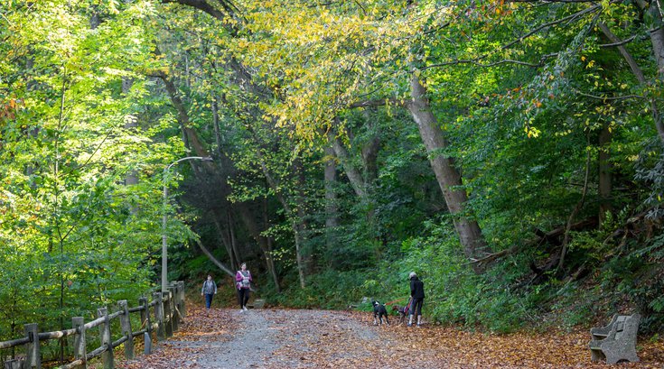 Mental Health Green Spaces