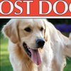 07242017_lost_dog
