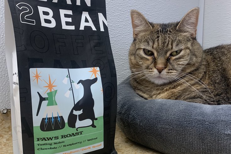 Bean2Bean PAWS coffee roast