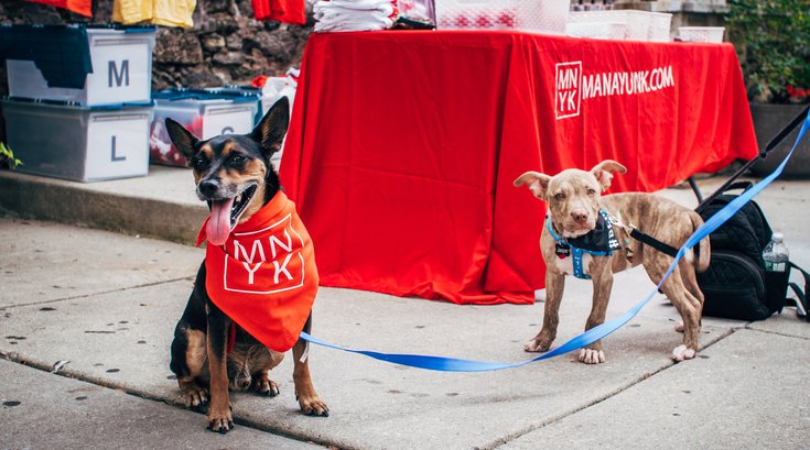 Dog Day Manayunk