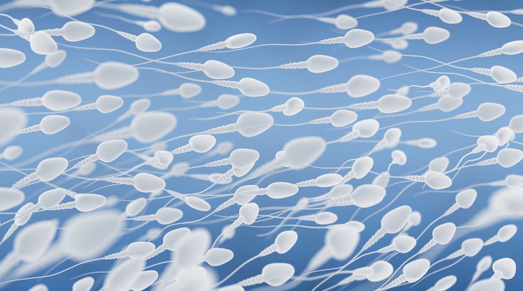 COVID-19 Male Fertility