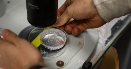 microplastics research