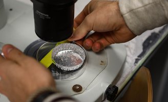 microplastics research