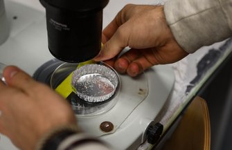 microplastics research