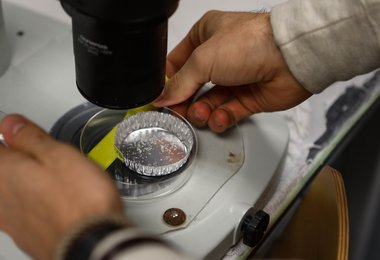 microplastics research