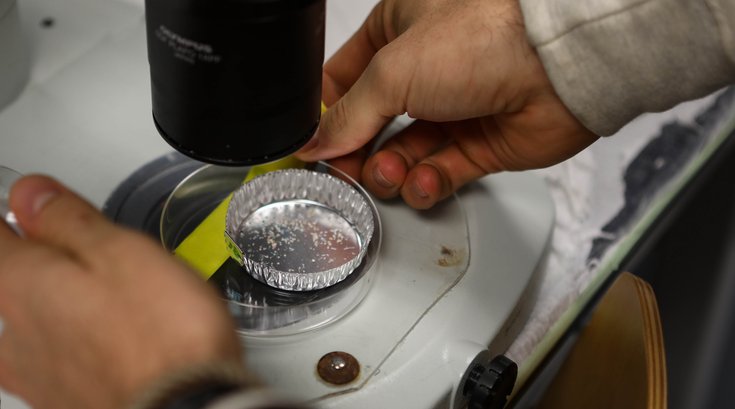 microplastics research