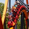 Roller Coasters Health