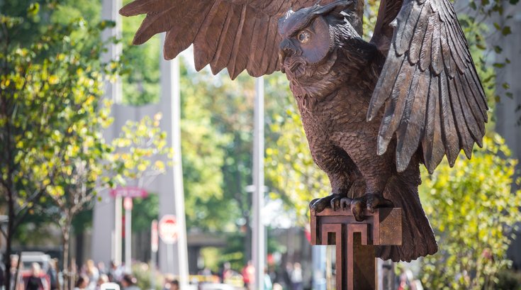 Stock_Carroll - Temple University Owls