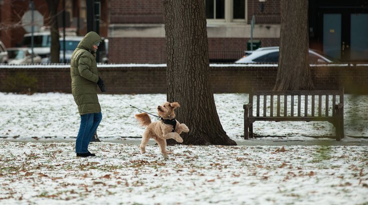 080115_COLD _Carroll-15.jpg