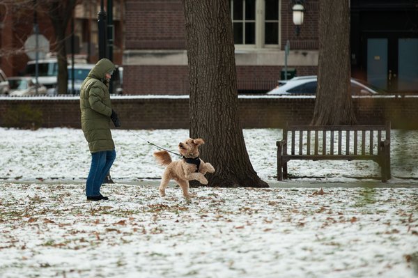 080115_COLD _Carroll-15.jpg