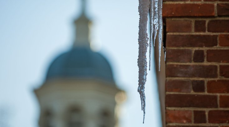 080115_COLD _Carroll-7.jpg