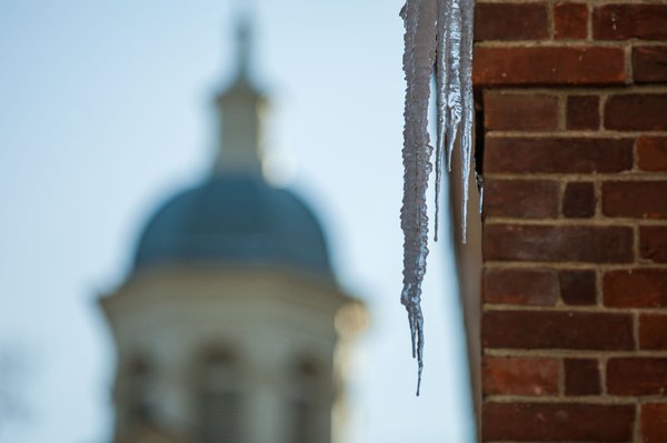 080115_COLD _Carroll-7.jpg