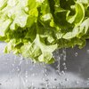 Foodborne Illness Prevention