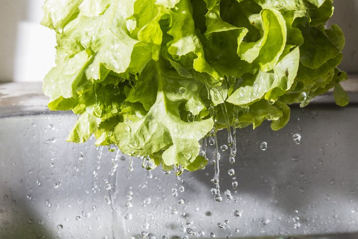 Foodborne Illness Prevention