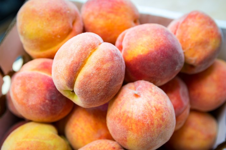 Carroll - Peaches